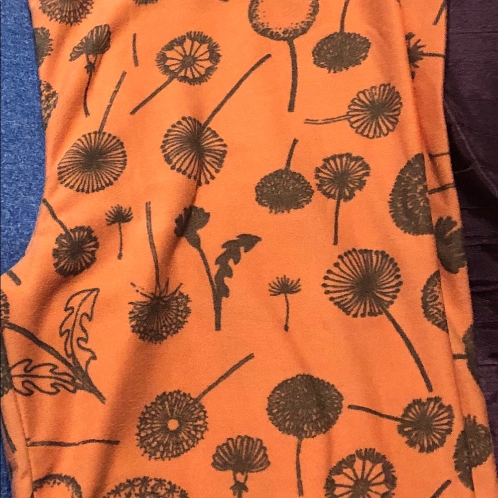 Lularoe Kids Leggings